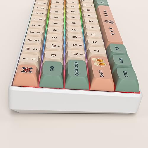 GTSP 61 Keycaps 60 Percent, Ducky One 2 Mini Keycaps for Mechanical Keyboard OEM Profile RGB PBT Keycap Set with Key Puller for Cherry MX Switches SK 61/Joker (Only keycaps) Blue