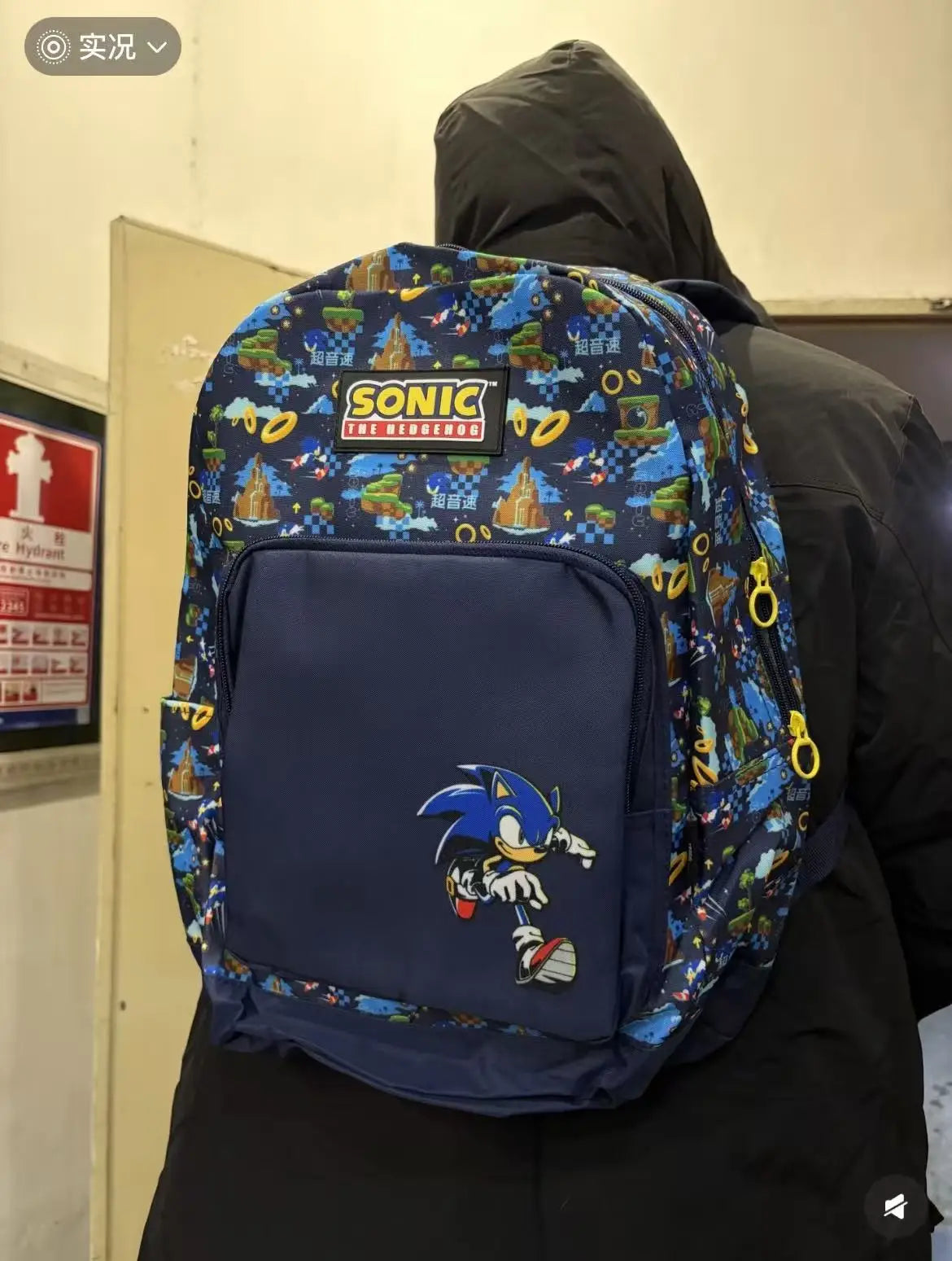 Sonic the Hedgehog Large Capacity Backpack —