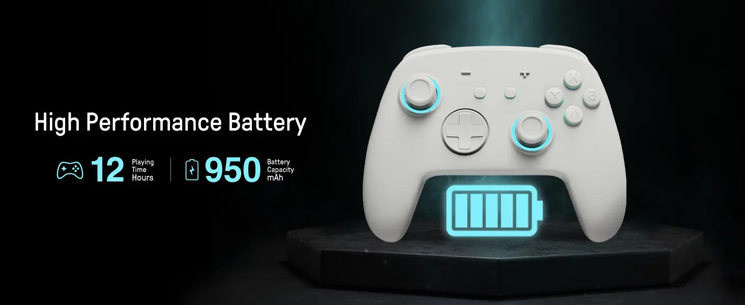 Nintendo switch pro controller